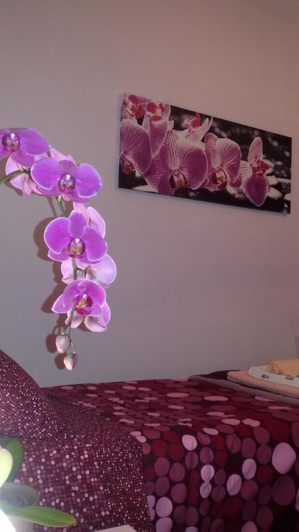 B&B Interno 8 Ρώμη Δωμάτιο φωτογραφία