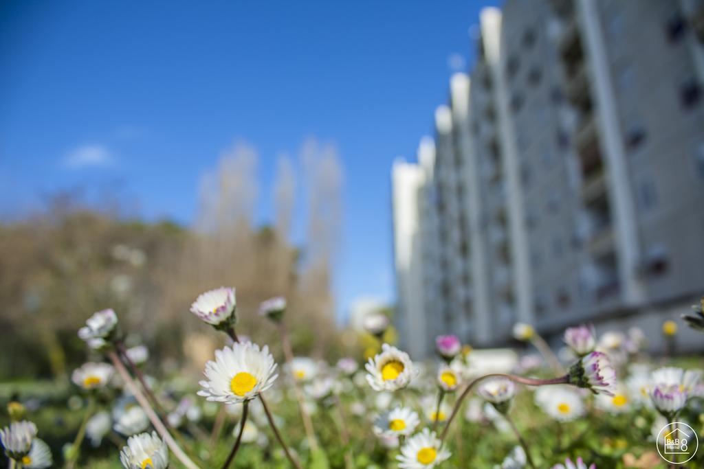 B&B Interno 8 Ρώμη Εξωτερικό φωτογραφία